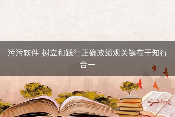 污污软件 树立和践行正确政绩观关键在于知行合一