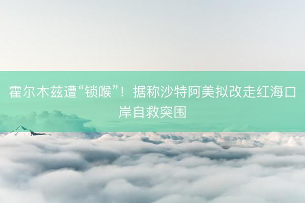 霍尔木兹遭“锁喉”！据称沙特阿美拟改走红海口岸自救突围