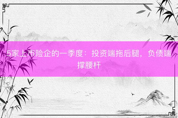 5家上市险企的一季度：投资端拖后腿，负债端撑腰杆