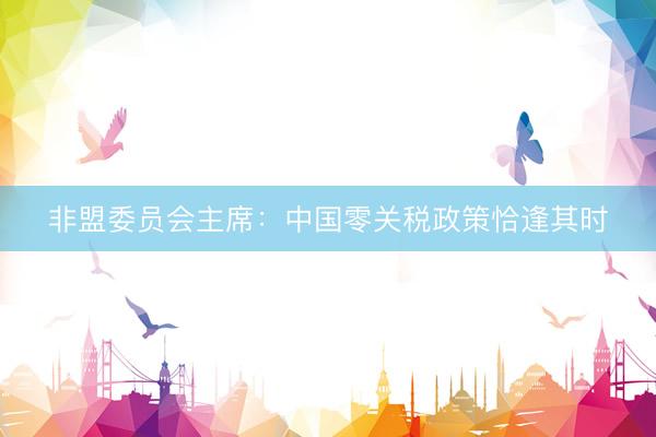 非盟委员会主席：中国零关税政策恰逢其时
