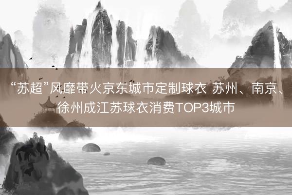 “苏超”风靡带火京东城市定制球衣 苏州、南京、徐州成江苏球衣消费TOP3城市