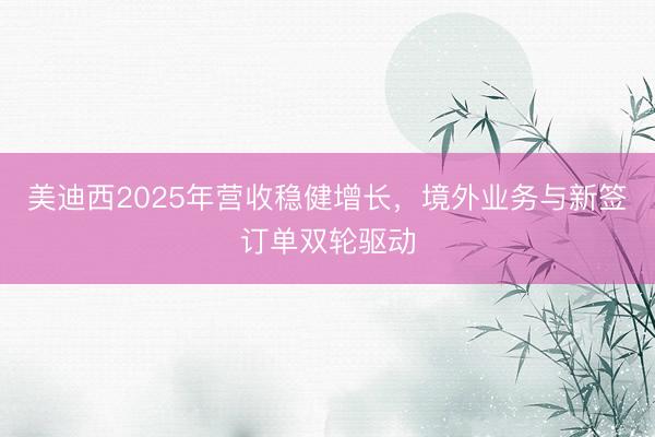 美迪西2025年营收稳健增长，境外业务与新签订单双轮驱动