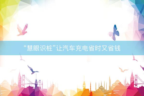 “慧眼识桩”让汽车充电省时又省钱