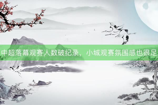 中超落幕观赛人数破纪录,小城观赛氛围感也很足