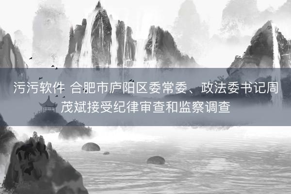污污软件 合肥市庐阳区委常委、政法委书记周茂斌接受纪律审查和监察调查