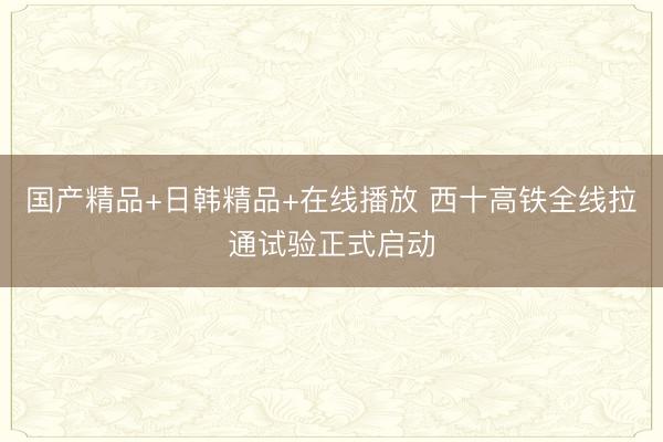 国产精品+日韩精品+在线播放 西十高铁全线拉通试验正式启动