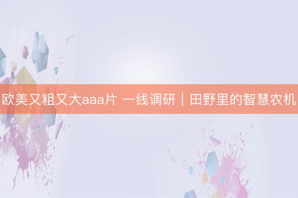 欧美又粗又大aaa片 一线调研｜田野里的智慧农机