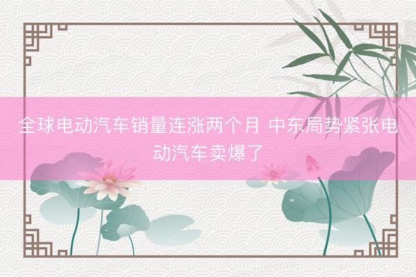 全球电动汽车销量连涨两个月 中东局势紧张电动汽车卖爆了