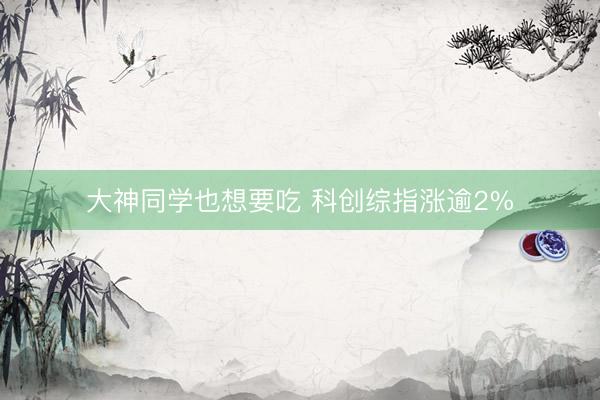 大神同学也想要吃 科创综指涨逾2%
