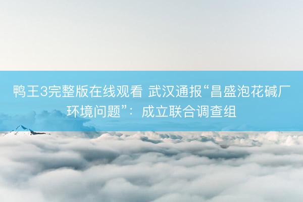 鸭王3完整版在线观看 武汉通报“昌盛泡花碱厂环境问题”：成立联合调查组
