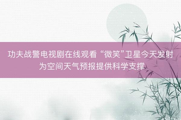 功夫战警电视剧在线观看 “微笑”卫星今天发射 为空间天气预报提供科学支撑