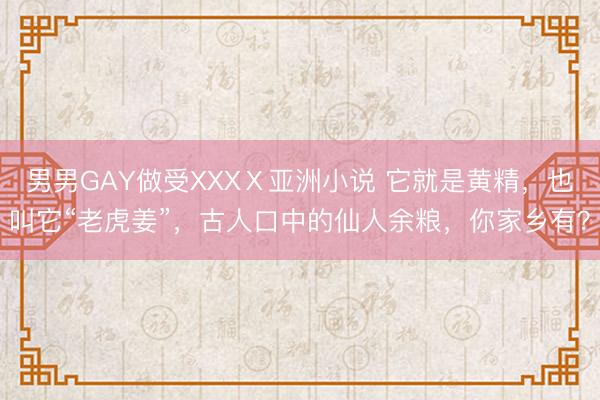 男男GAY做受XXXⅩ亚洲小说 它就是黄精，也叫它“老虎姜”，古人口中的仙人余粮，你家乡有？