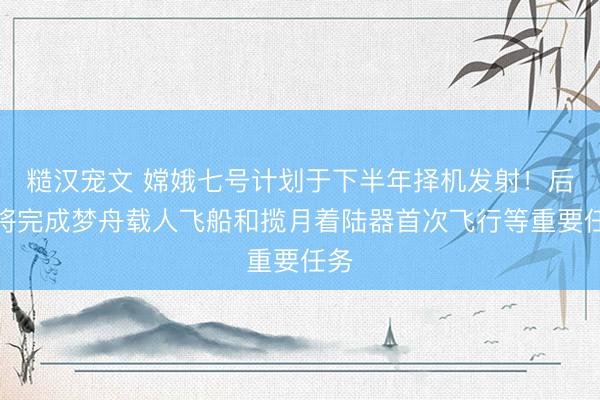 糙汉宠文 嫦娥七号计划于下半年择机发射！后续将完成梦舟载人飞船和揽月着陆器首次飞行等重要任务
