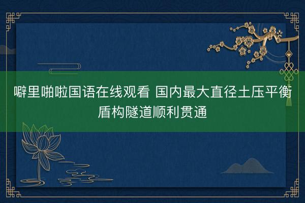 噼里啪啦国语在线观看 国内最大直径土压平衡盾构隧道顺利贯通