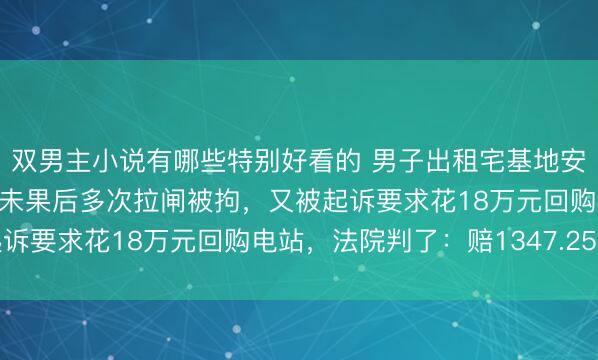 双男主小说有哪些特别好看的 男子出租宅基地安装光伏，联系售后拆装未果后多次拉闸被拘，又被起诉要求花18万元回购电站，法院判了：赔1347.25元