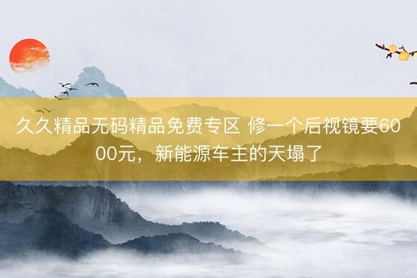 久久精品无码精品免费专区 修一个后视镜要6000元，新能源车主的天塌了