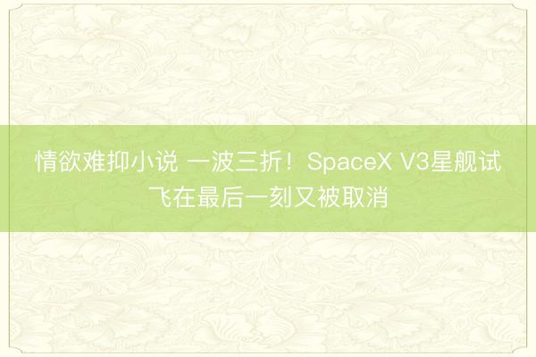 情欲难抑小说 一波三折！SpaceX V3星舰试飞在最后一刻又被取消