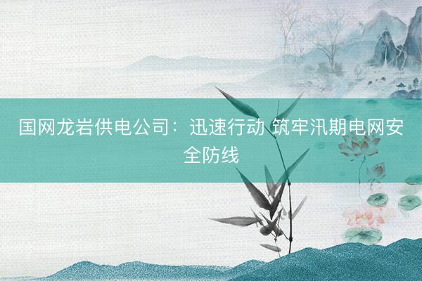 国网龙岩供电公司：迅速行动 筑牢汛期电网安全防线