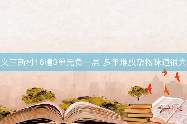 文三新村16幢3单元负一层 多年堆放杂物味道很大