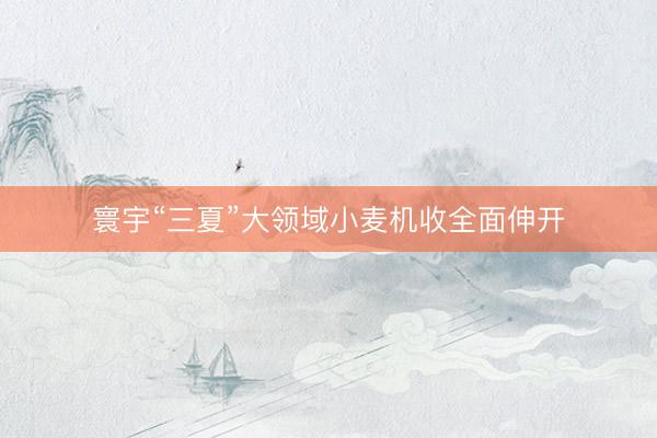寰宇“三夏”大领域小麦机收全面伸开