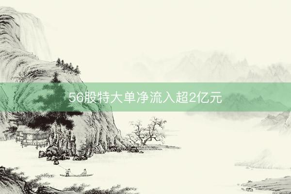 56股特大单净流入超2亿元