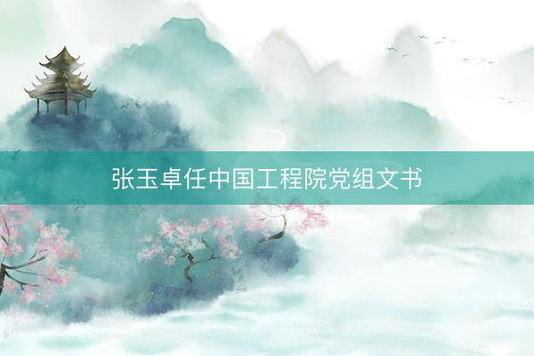 张玉卓任中国工程院党组文书