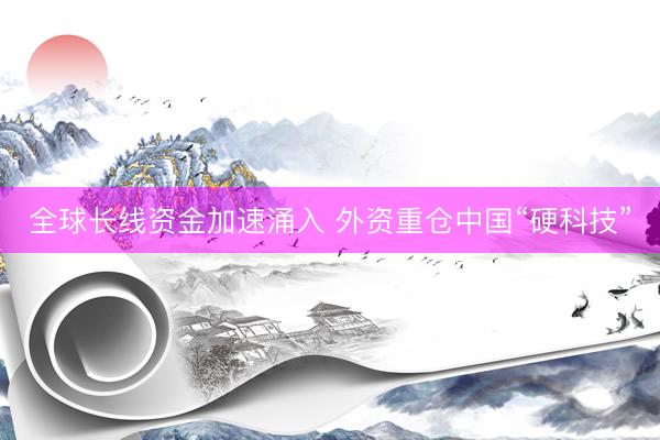 全球长线资金加速涌入 外资重仓中国“硬科技”