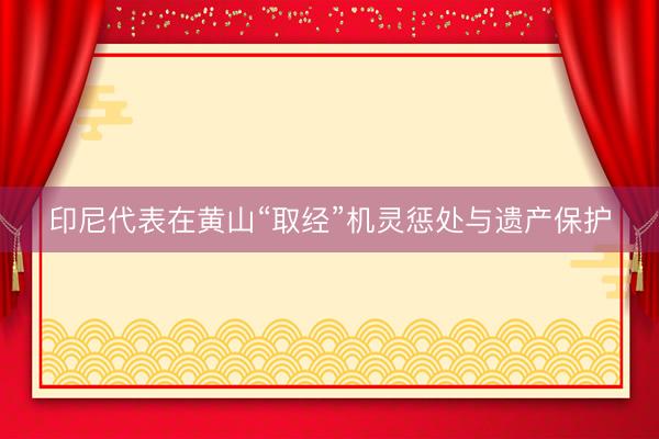 印尼代表在黄山“取经”机灵惩处与遗产保护