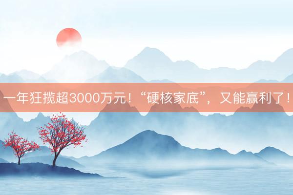 一年狂揽超3000万元！“硬核家底”，又能赢利了！