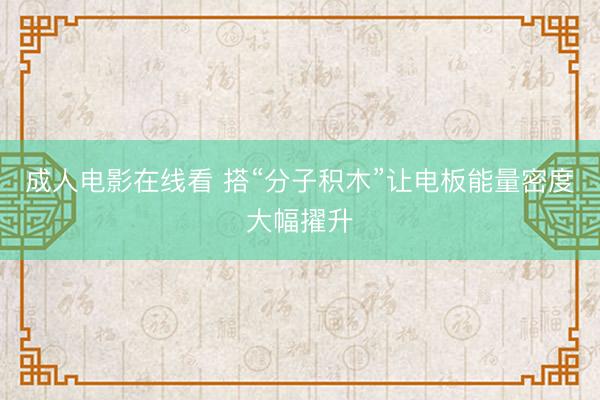 成人电影在线看 搭“分子积木”让电板能量密度大幅擢升
