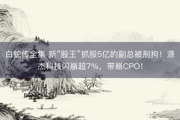 白蛇传全集 新“股王”抓股5亿的副总被刑拘！源杰科技闪崩超7%，带崩CPO！