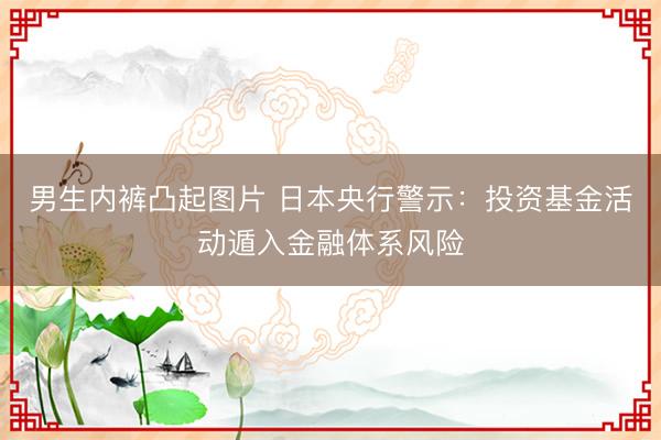 男生内裤凸起图片 日本央行警示：投资基金活动遁入金融体系风险