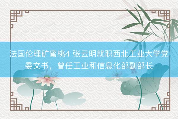法国伦理矿蜜桃4 张云明就职西北工业大学党委文书，曾任工业和信息化部副部长