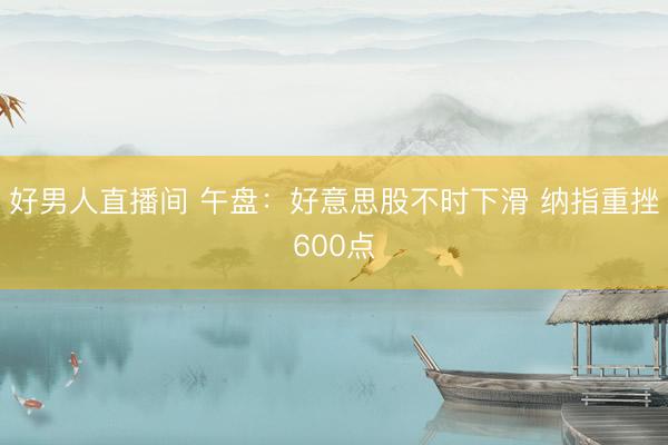 好男人直播间 午盘：好意思股不时下滑 纳指重挫600点