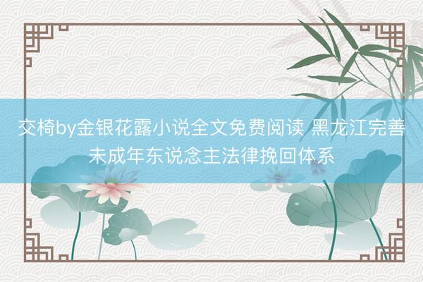 交椅by金银花露小说全文免费阅读 黑龙江完善未成年东说念主法律挽回体系