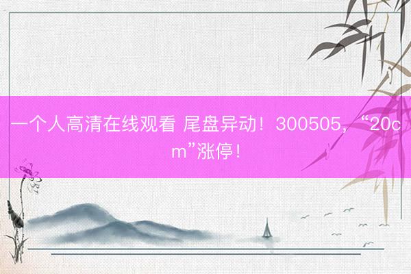 一个人高清在线观看 尾盘异动！300505，“20cm”涨停！