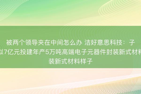 被两个领导夹在中间怎么办 洁好意思科技：子公司拟7亿元投建年产5万吨高端电子元器件封装新式材料样子