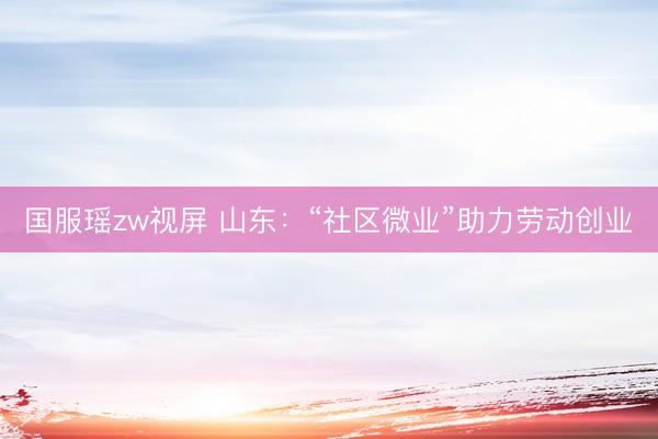 国服瑶zw视屏 山东：“社区微业”助力劳动创业