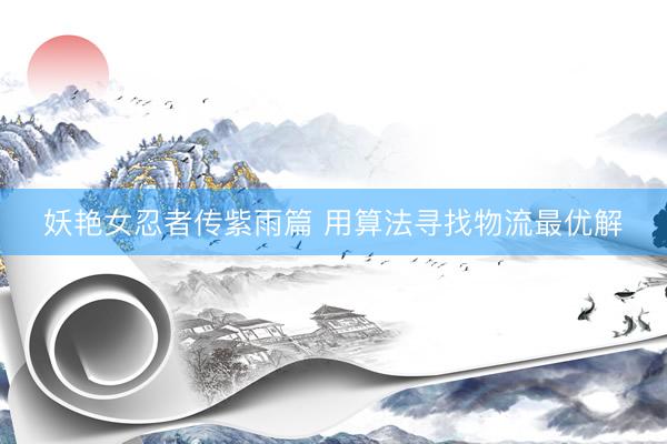 妖艳女忍者传紫雨篇 用算法寻找物流最优解