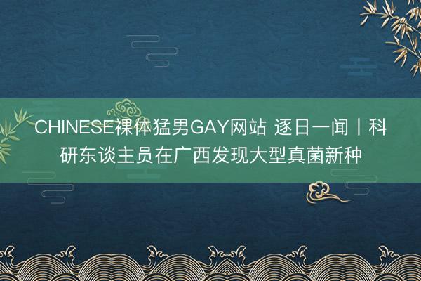 CHINESE裸体猛男GAY网站 逐日一闻丨科研东谈主员在广西发现大型真菌新种