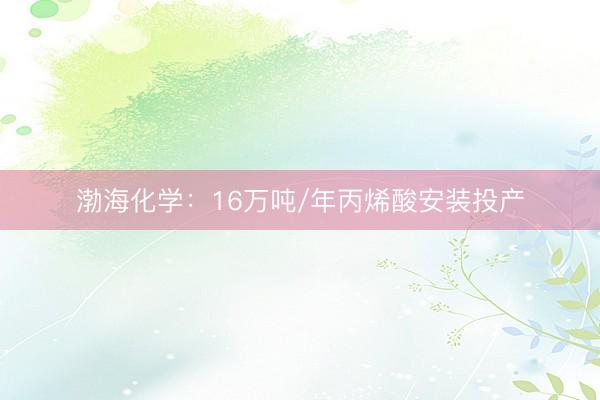 渤海化学：16万吨/年丙烯酸安装投产