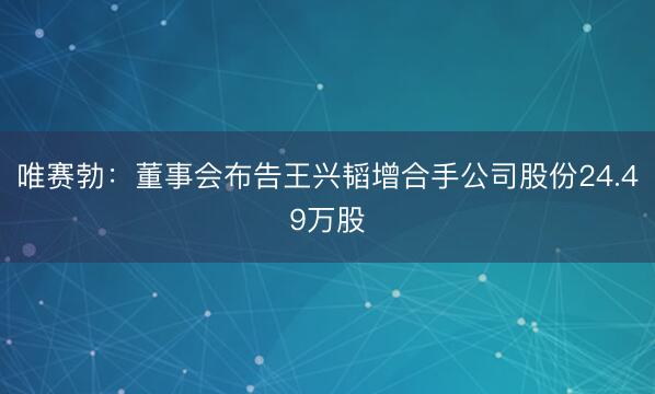 唯赛勃：董事会布告王兴韬增合手公司股份24.49万股