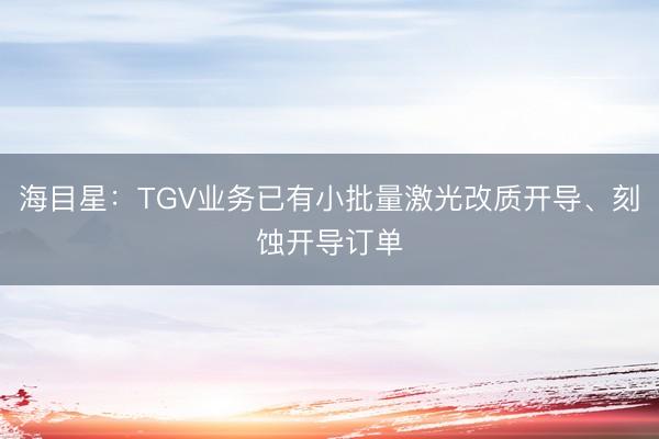 海目星：TGV业务已有小批量激光改质开导、刻蚀开导订单