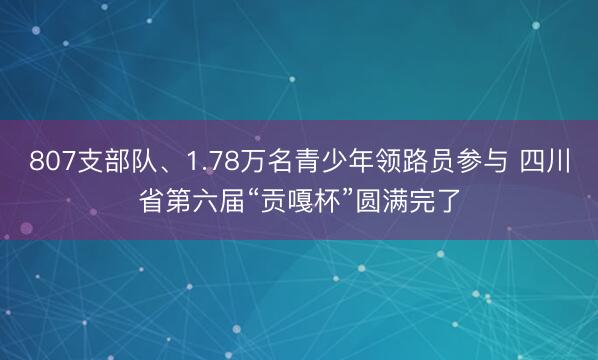 807支部队、1.78万名青少年领路员参与 四川省第六届“贡嘎杯”圆满完了