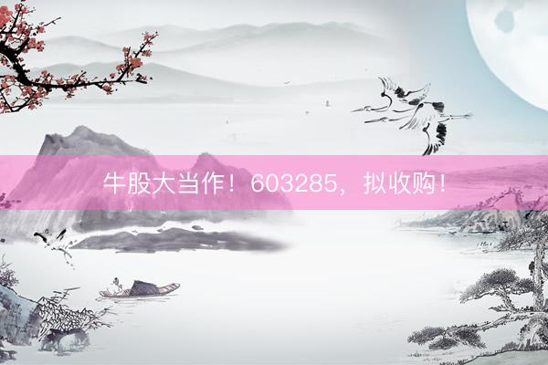牛股大当作！603285，拟收购！