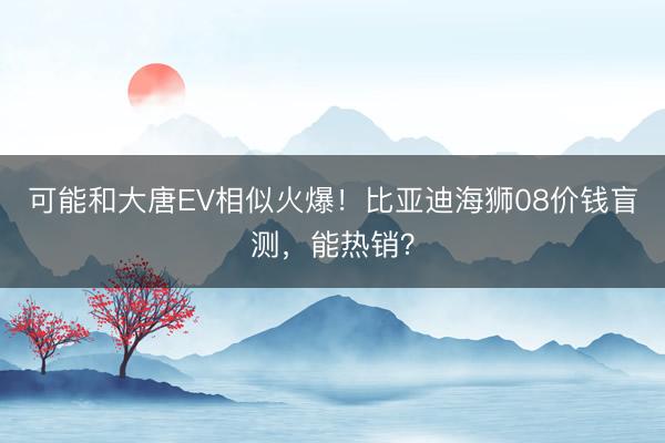 可能和大唐EV相似火爆！比亚迪海狮08价钱盲测，能热销？